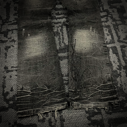 Lowbox Glitter Splash Distressed Flared Jeans