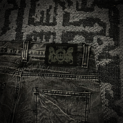 Lowbox Glitter Splash Distressed Flared Jeans